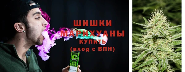 ешки Новозыбков