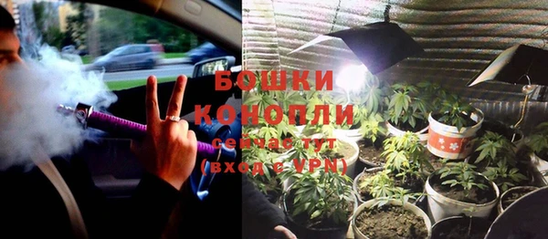ешки Новозыбков
