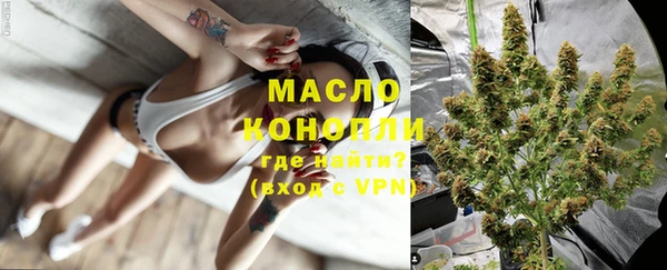 ешки Новозыбков