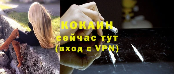 ешки Новозыбков