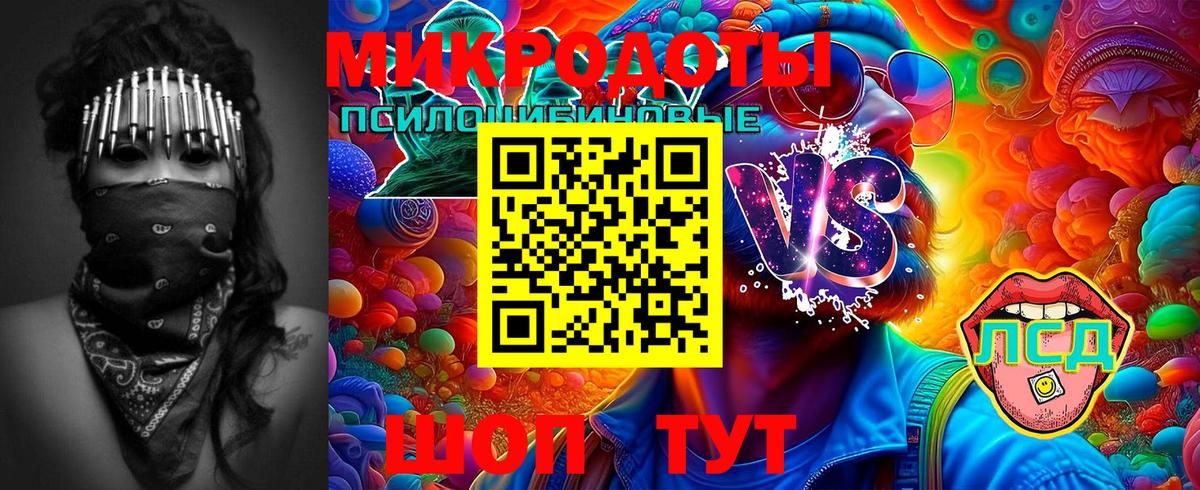 Псилоцибиновые грибы Cubensis Асбест