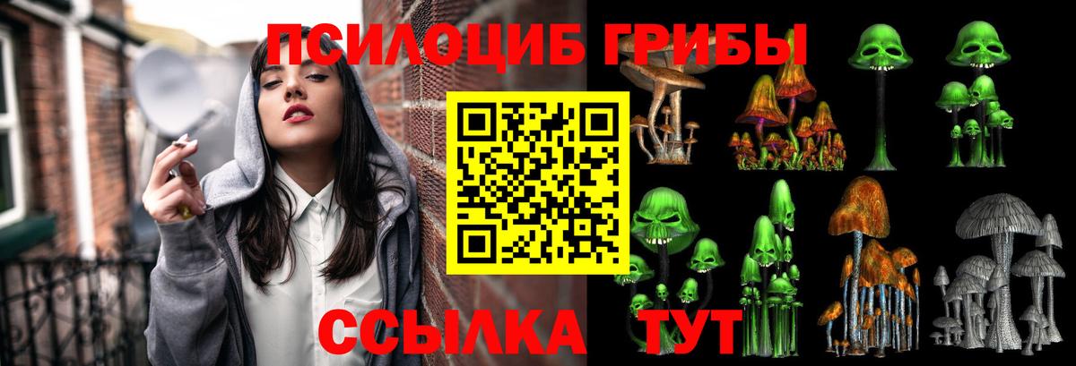 Галлюциногенные грибы Cubensis  Галлюциногенные грибы Cubensis  Вход с VPN  Асбест 