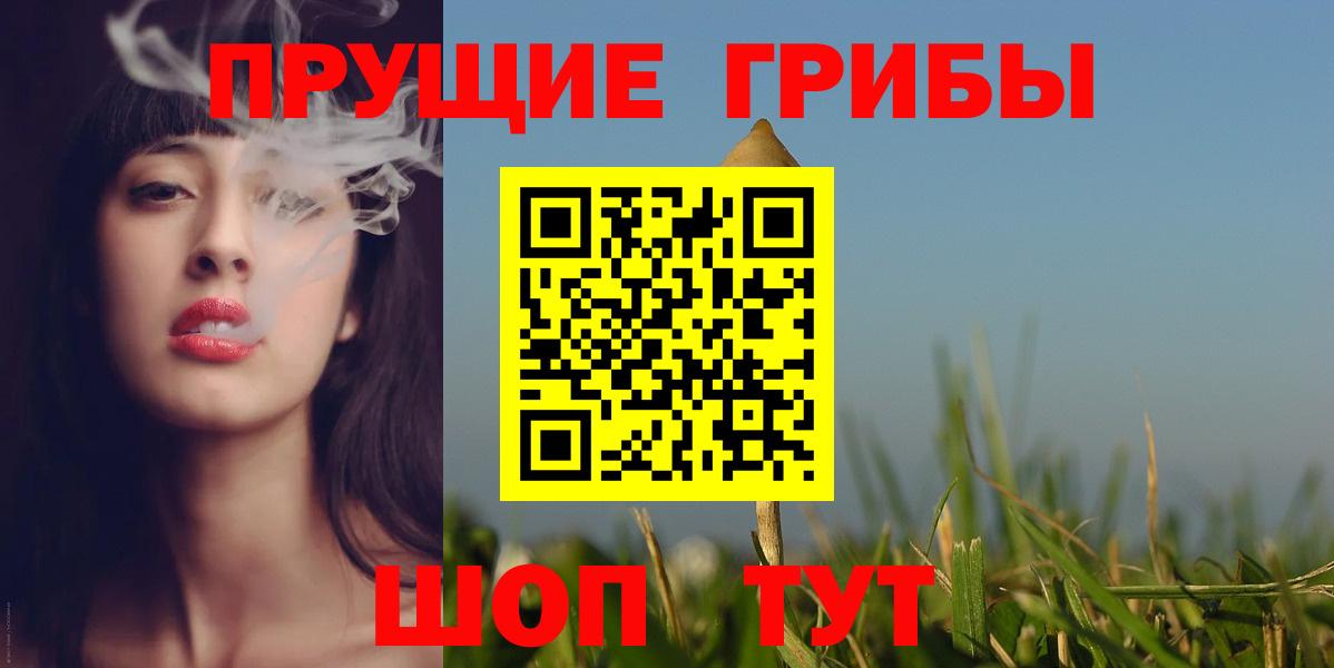 Галлюциногенные грибы Psilocybe Асбест